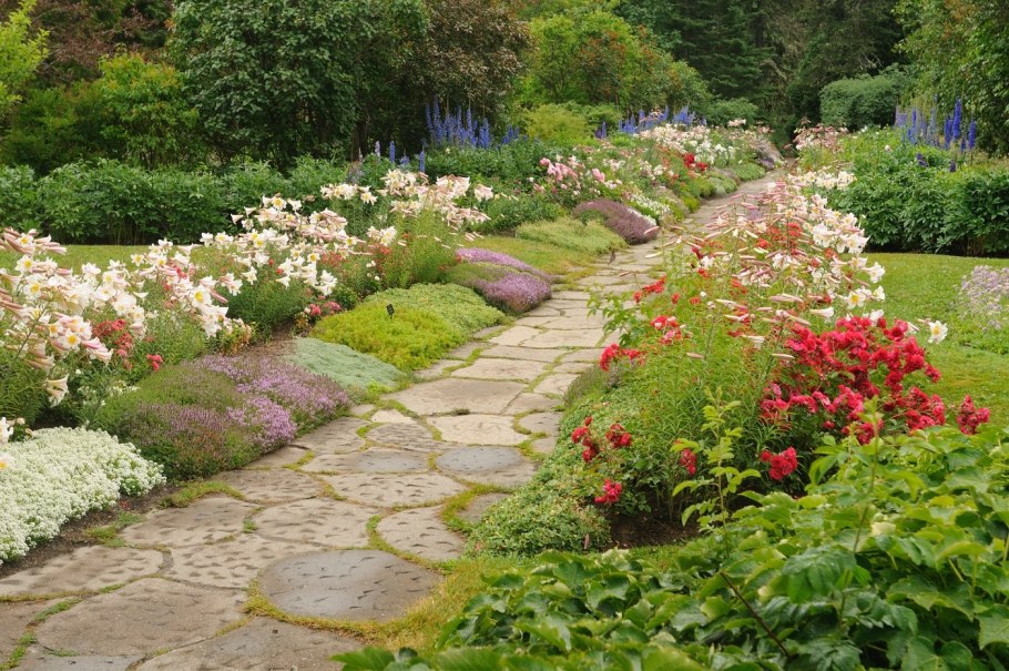 Огородный миксбордер