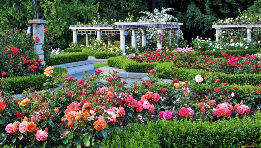 Розарий Багатель