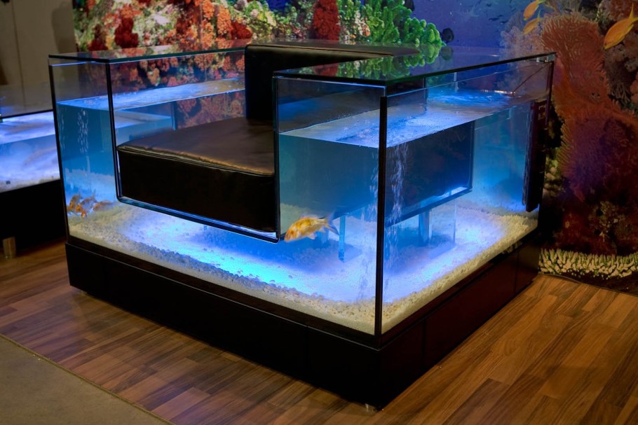 Рыбки для аквариума