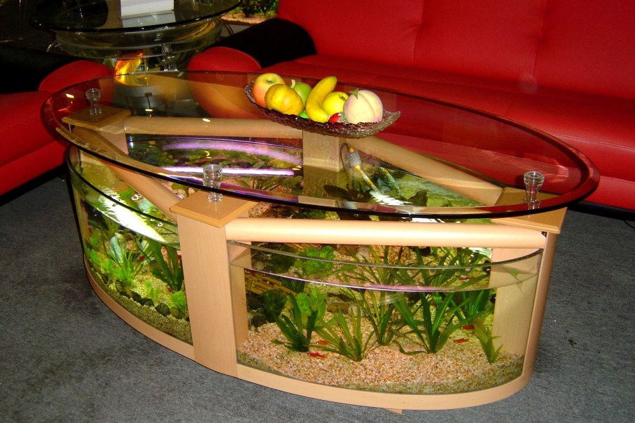 Необычный аквариум на стол