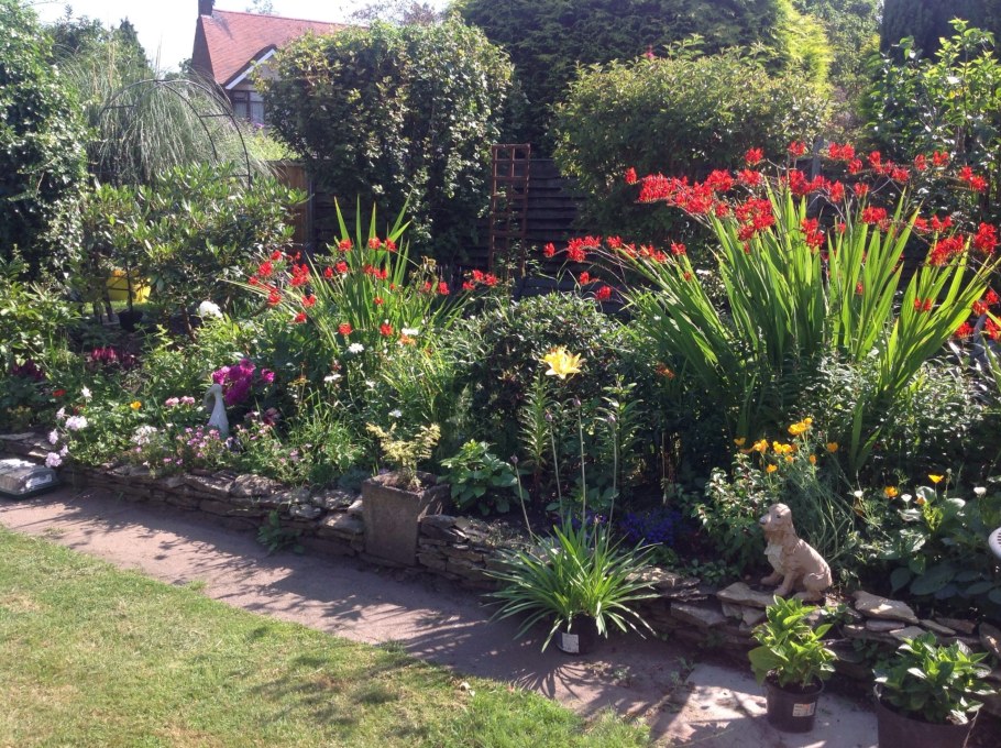 Гладиолусы и лилейник на клумбе