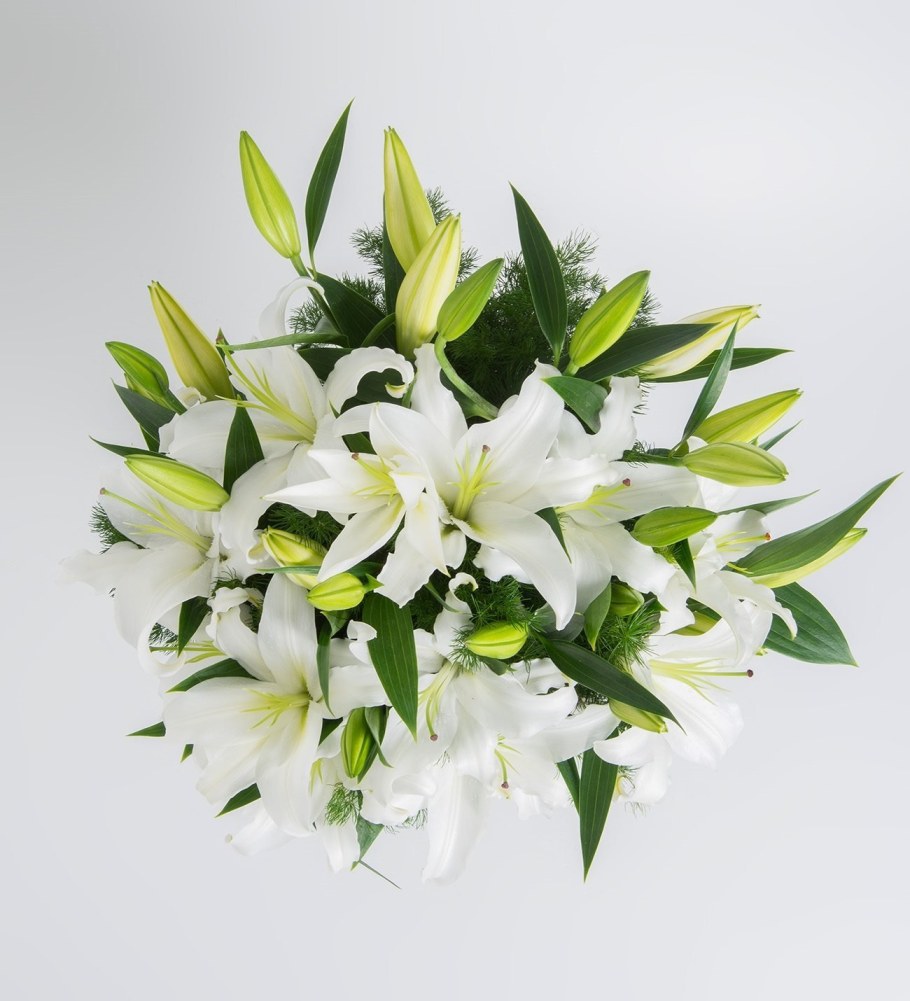 Лилия Вайт Чарм