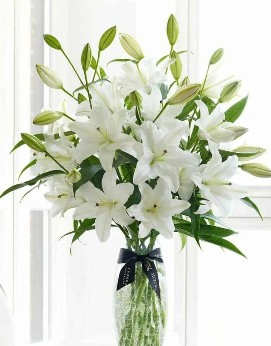 Огромный букет лилий