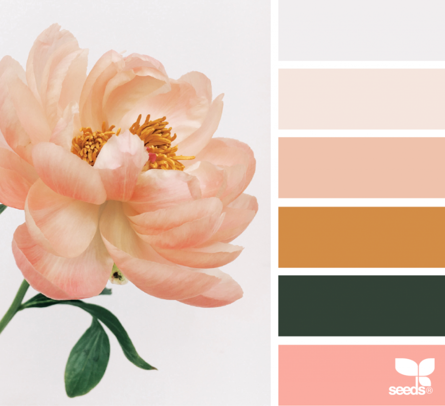 Бежевлперсиковый цвет