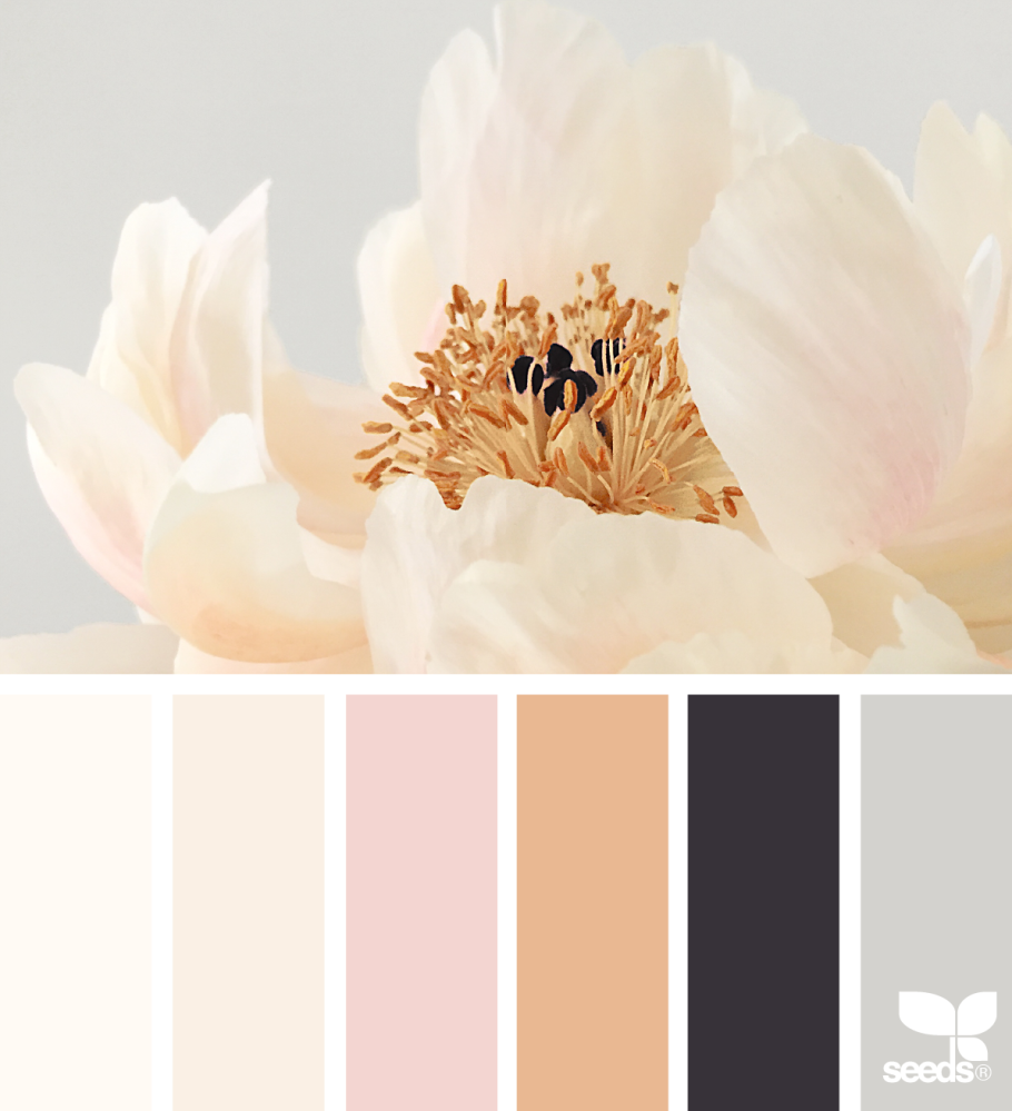 Палитра сочетания цветов