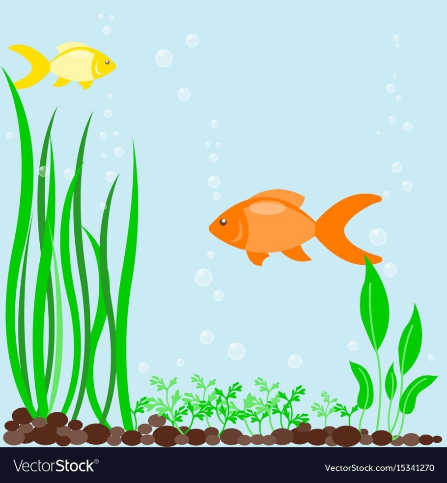 Аквариум рисунок для детей