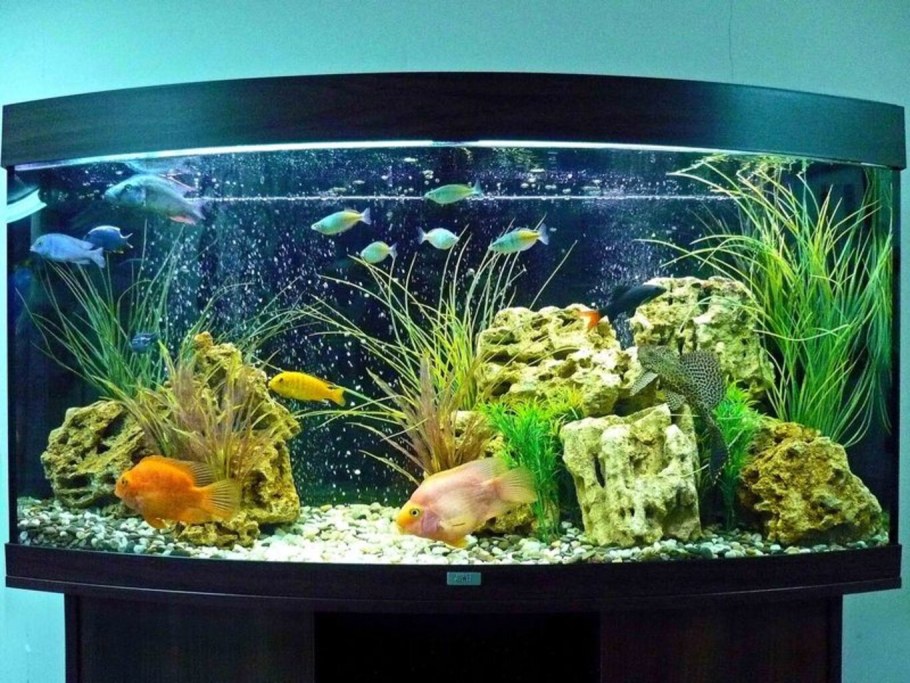 Аквариум 120л цихлид