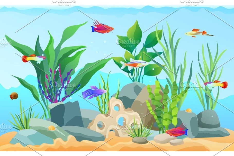 Аквариум прямоугольный с рыбками для детей