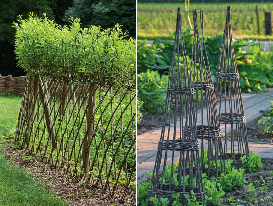 Плетеная Ива изгородь