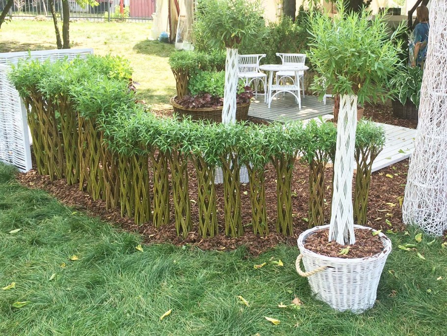 Плетеная Живая изгородь Ива