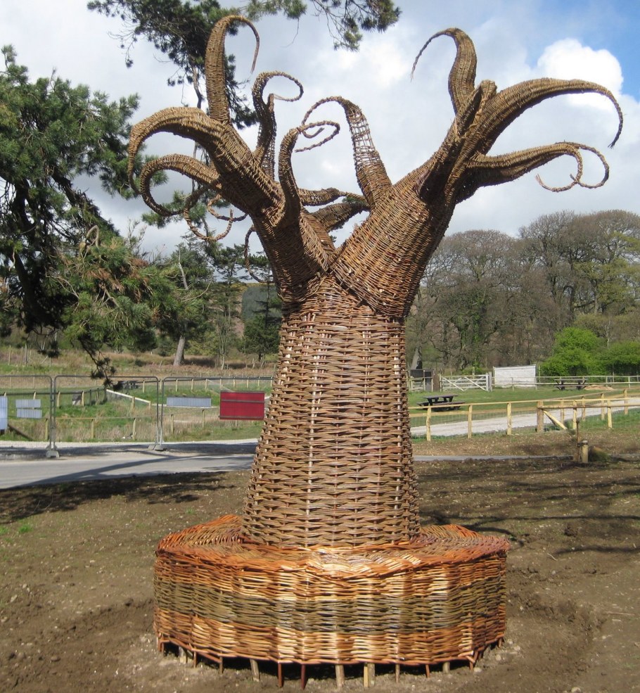 Ива плетеная Живая