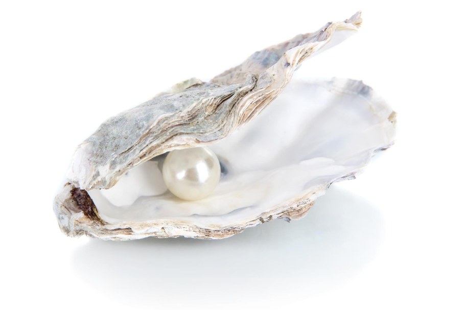 Палитра серый белый