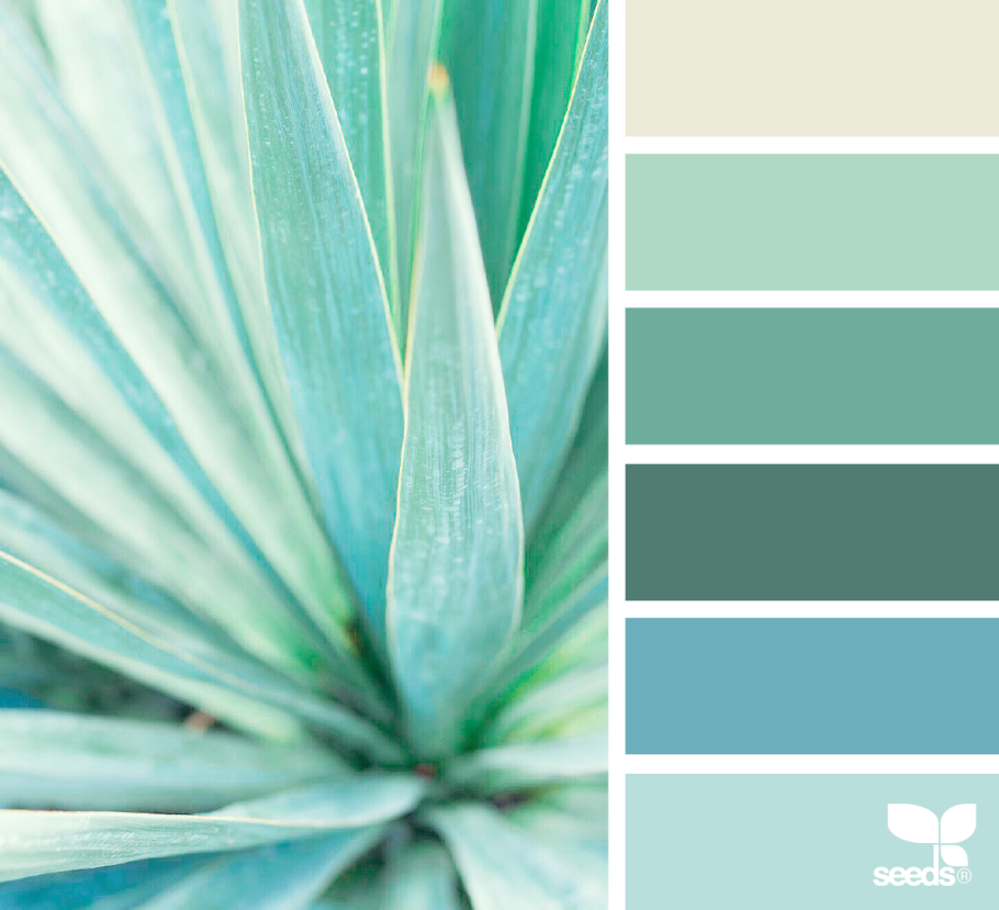 Тёмный Туркуаз оттенок палитра