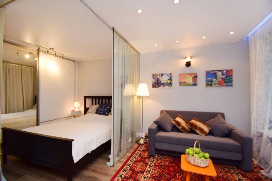 Гостиная со спальной зоной