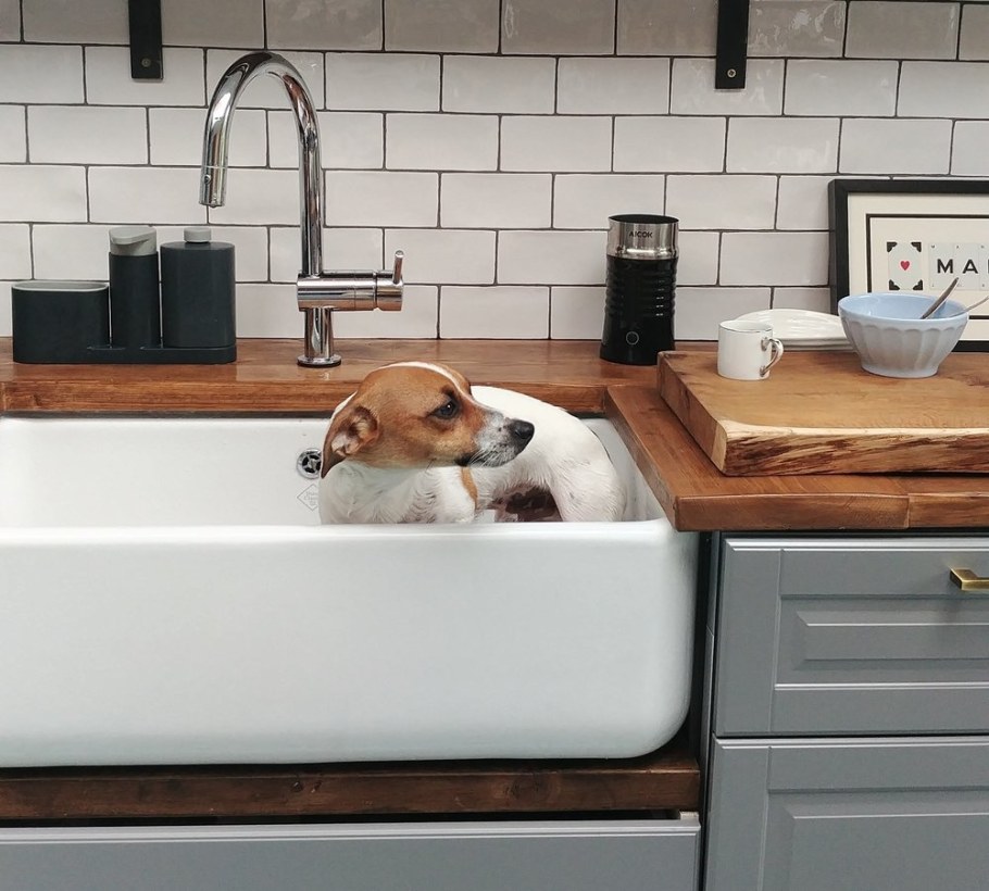 Dog Wash Cabinet