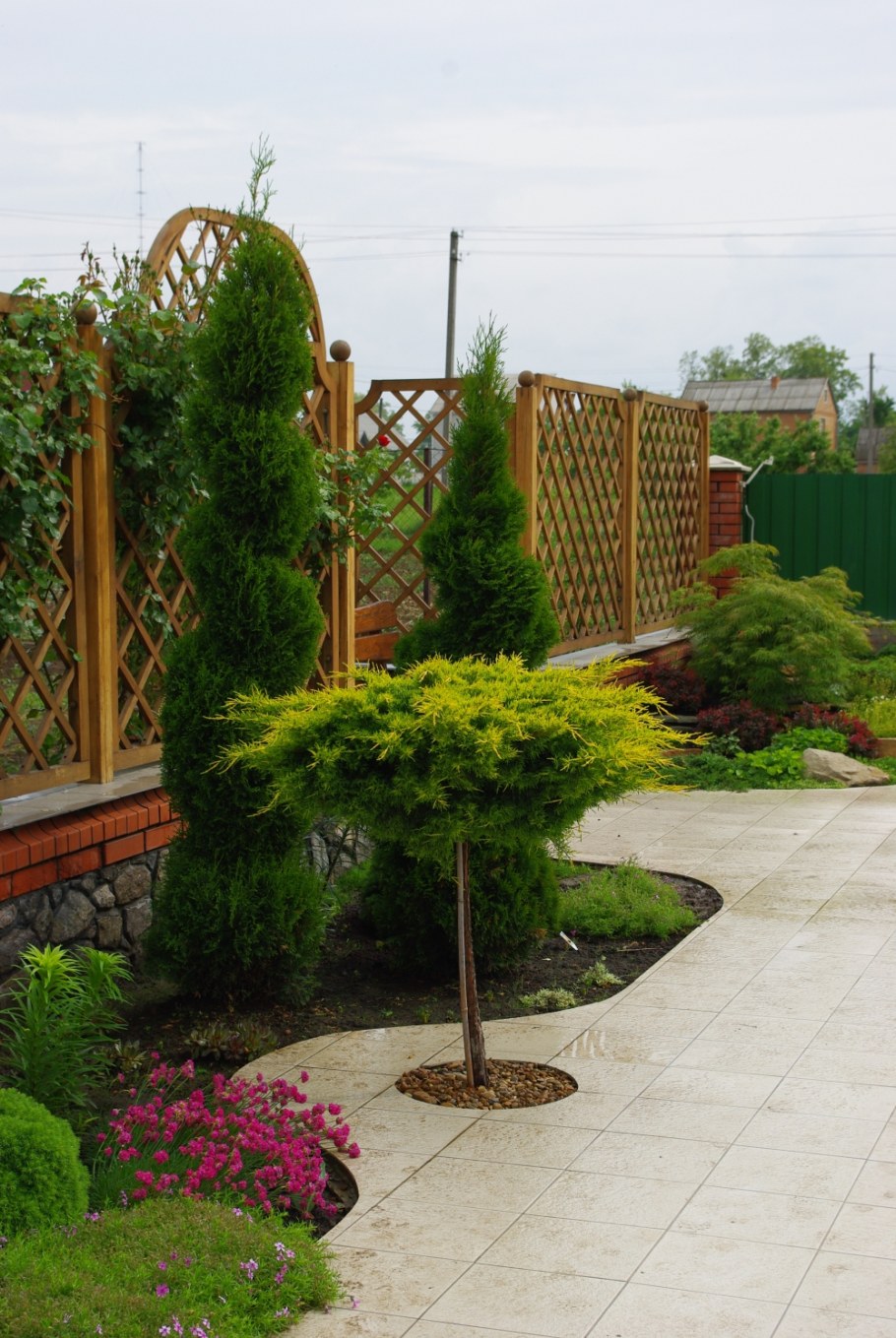 Миксбордер с туей Смарагд