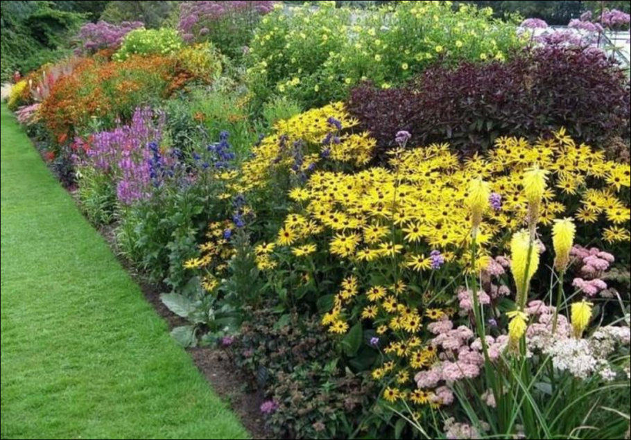 Миксбордер цветник