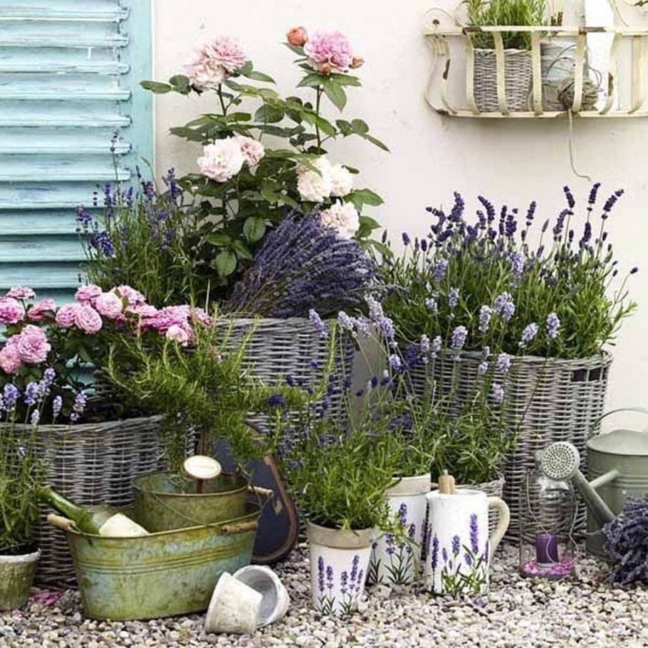 Клумбы Прованс