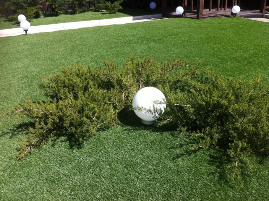 Минт джулеп в ландшафте