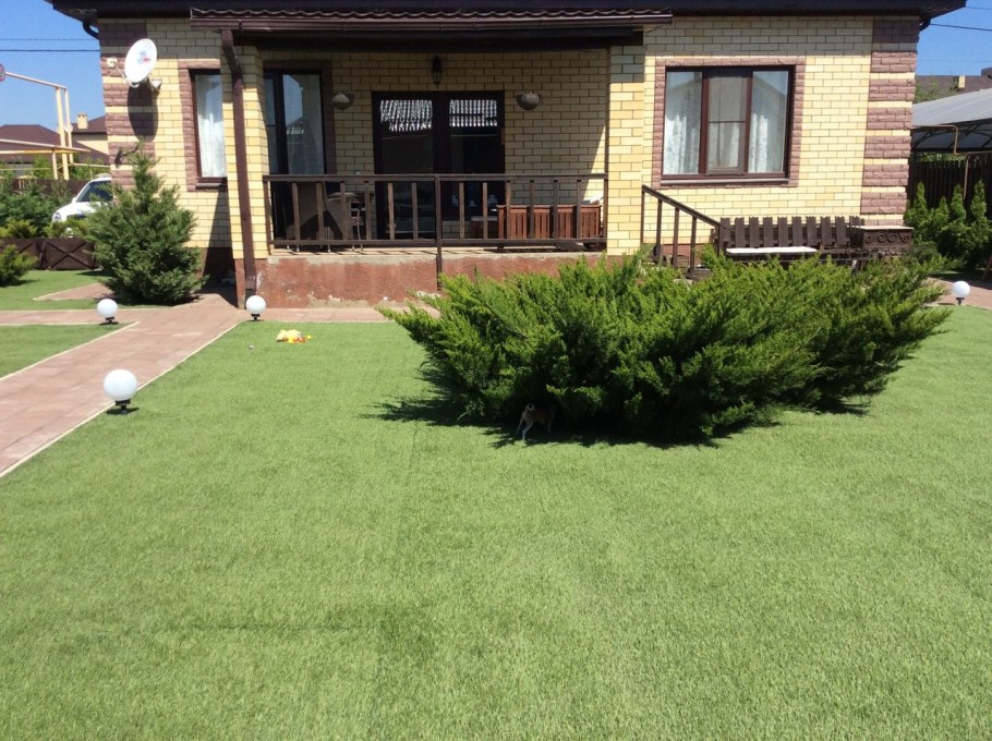 Можжевельник средний Mint Julep (минт джулеп)