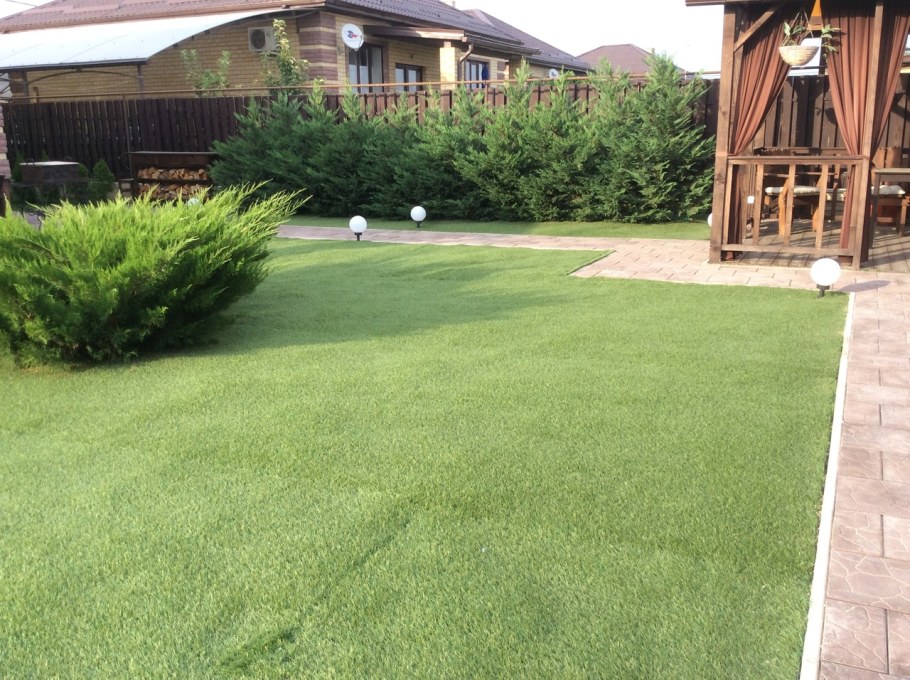 Можжевельник Пфитцера минт джулеп