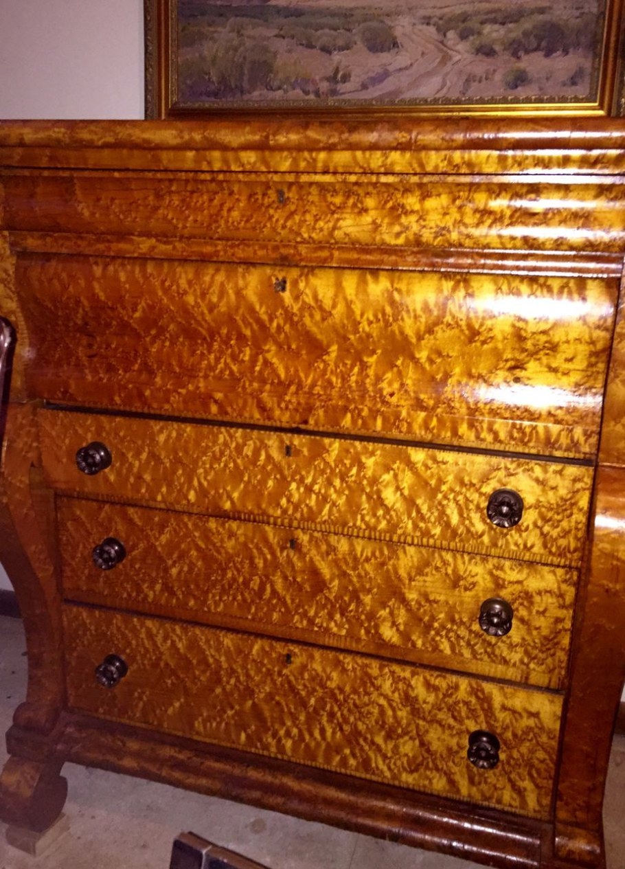 Шпон клен птичий глаз