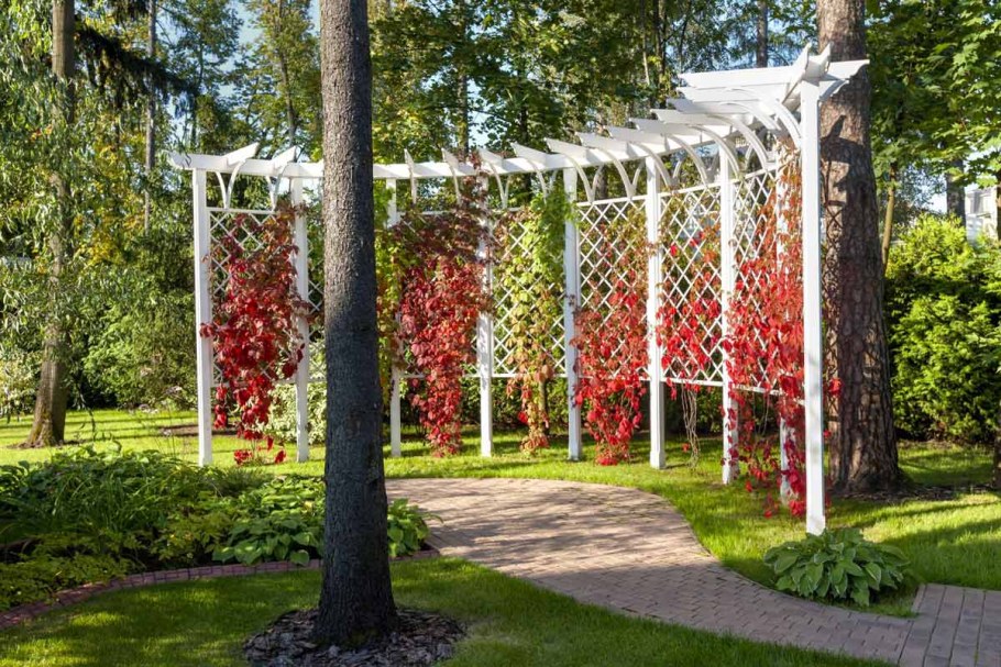 Берсо пергола трельяж