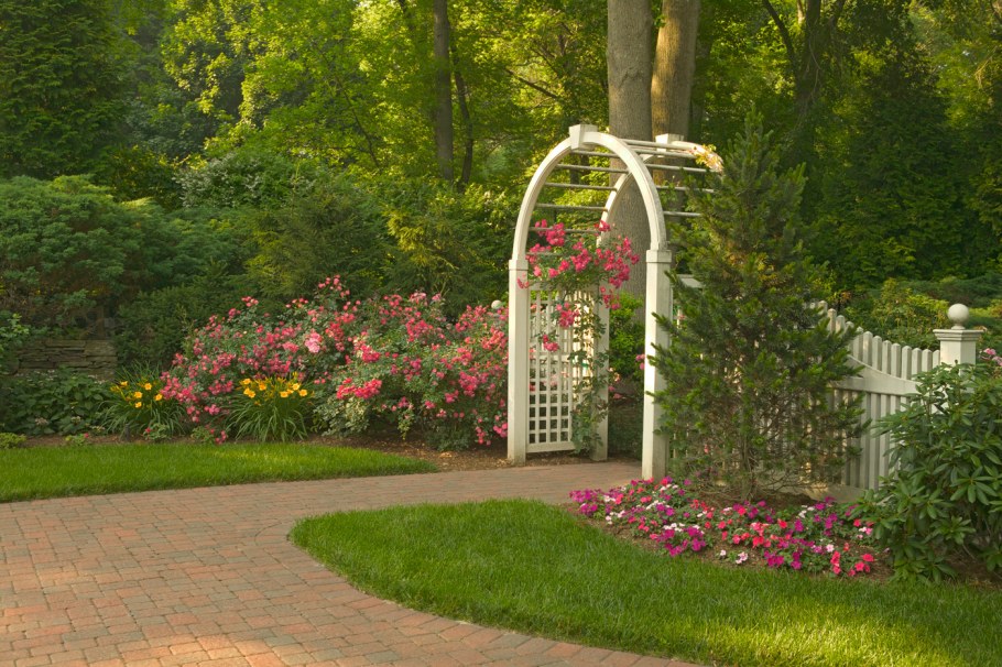 Берсо пергола трельяж