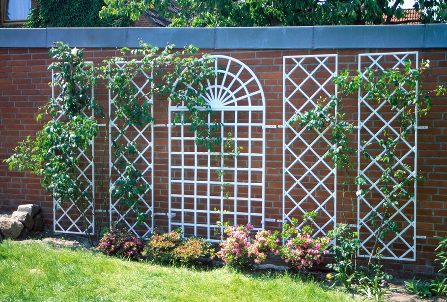 Шпалера "суперсетка"