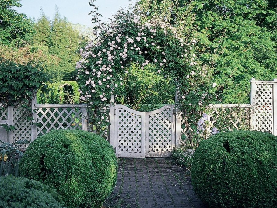 Трельяжные решетки в ландшафтном дизайне