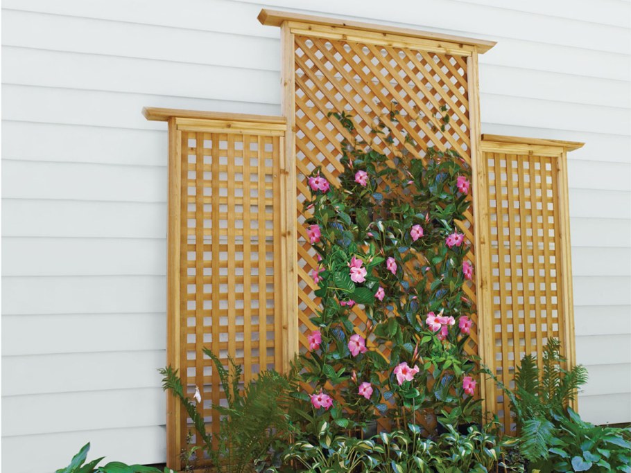 Шпалера "суперсетка"