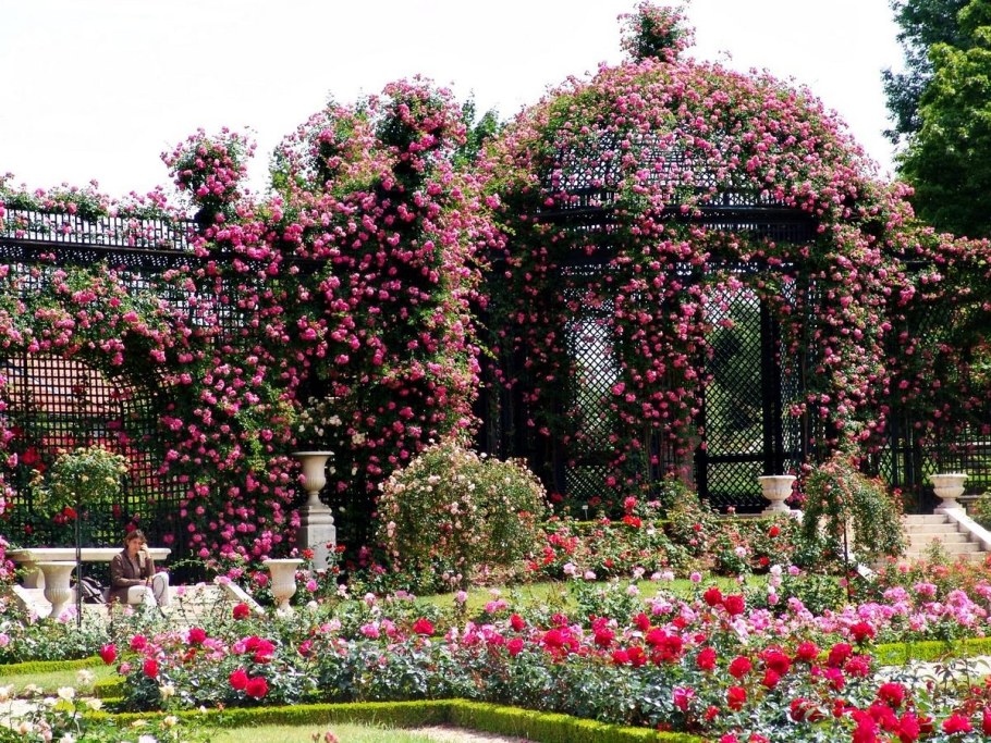 Розарий Валь-де-Марн Франция