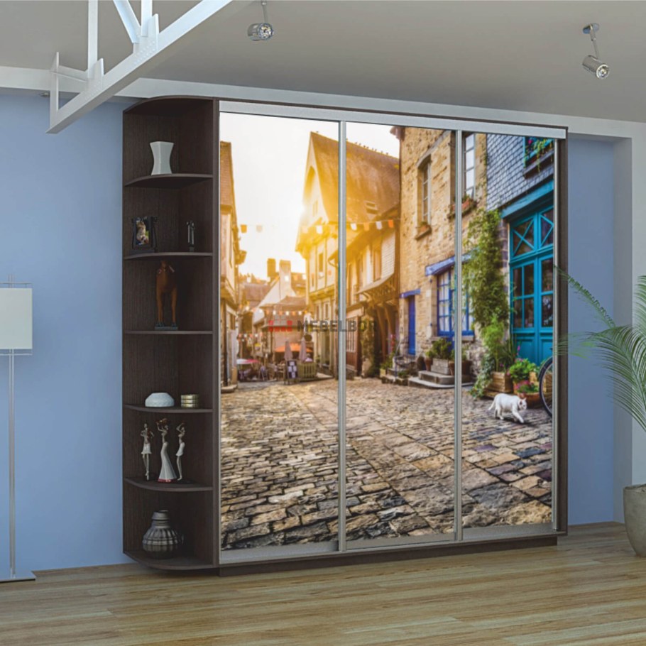 Шкаф купе экспресс 3х дверный