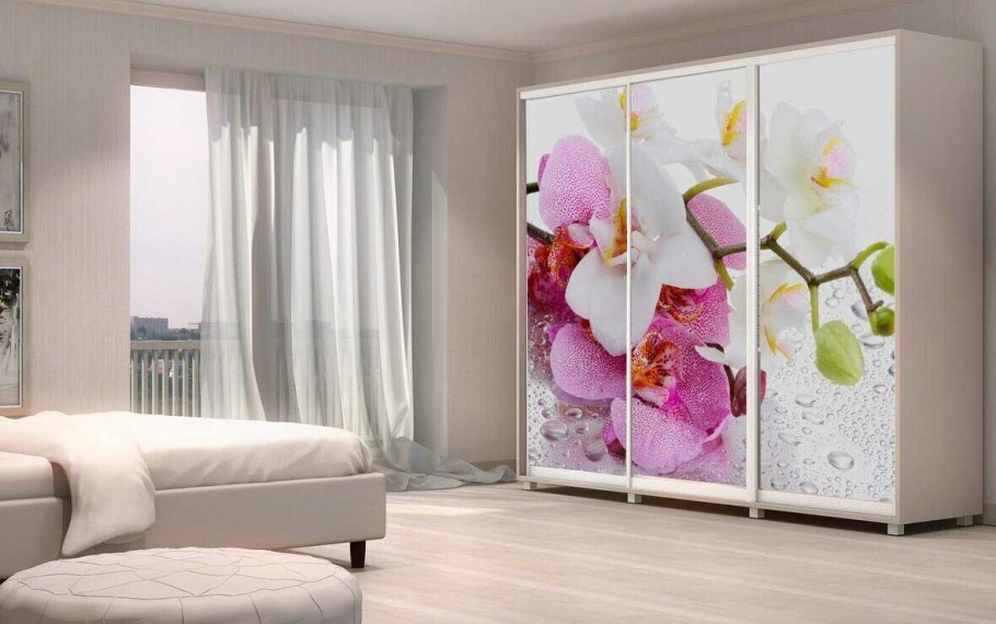 Шкаф купе с фотопечатью