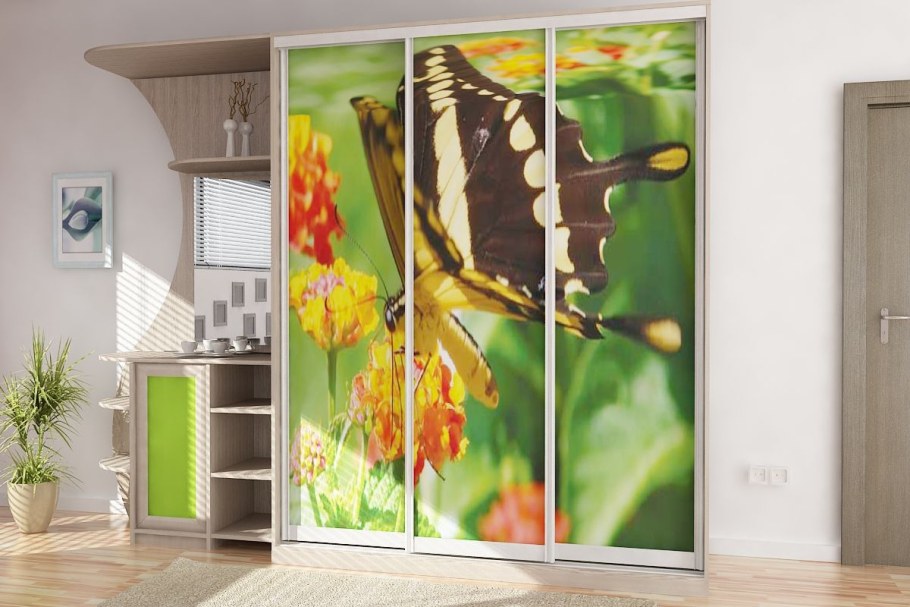 Шкаф купе Рамир 4