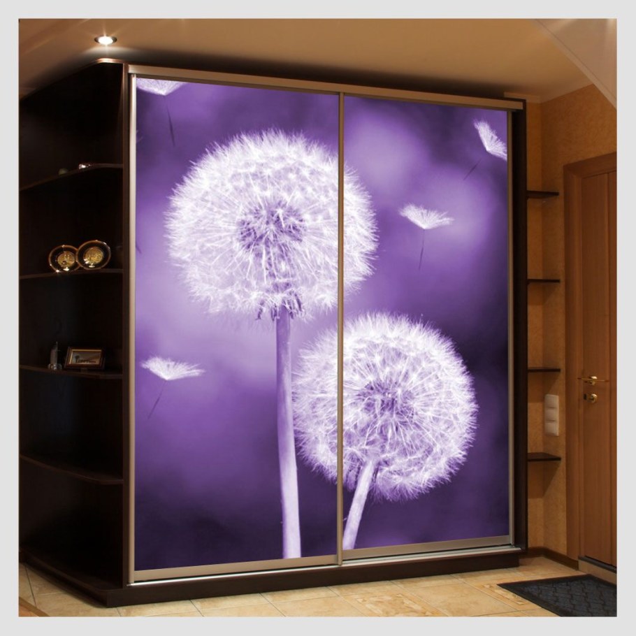 Шкаф купе фиолетовый