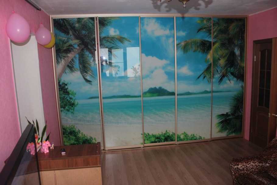 Фотопечать на двери шкафа купе