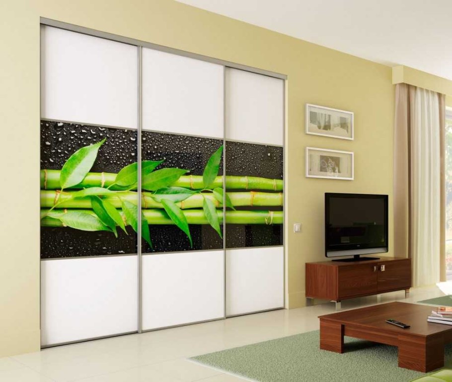 Шкаф купе с фотопечатью