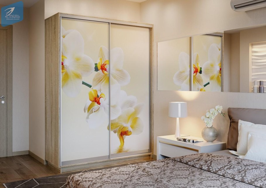 Шкаф купе Лео стиль фотопечать