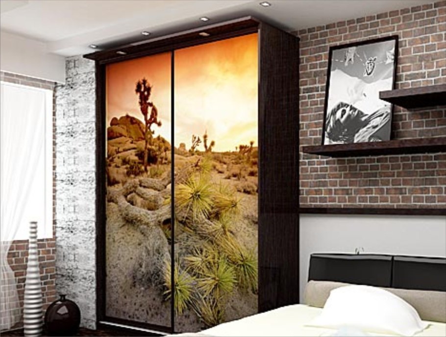 Шкаф-купе в прихожую с фотопечатью