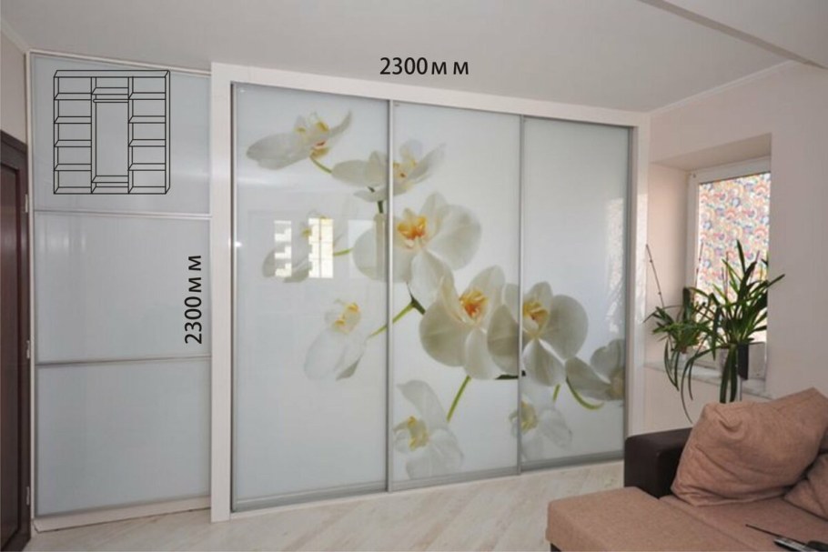 Двери купе с фотопечатью в гардеробную