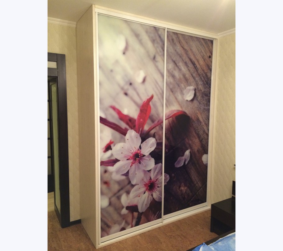 Фотопечать на двери шкафа купе