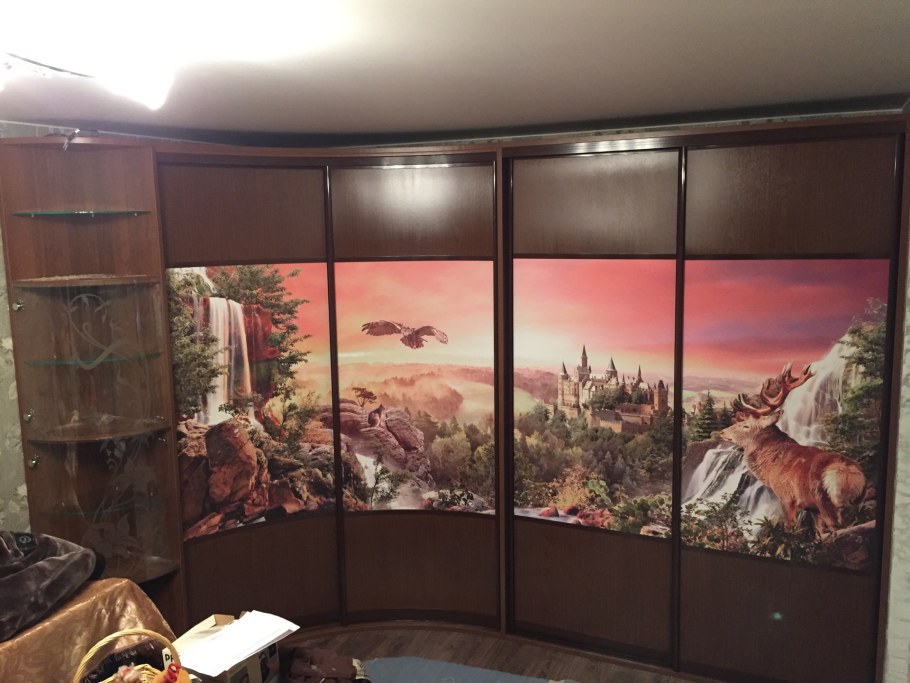 Шкаф купе с фотопечатью