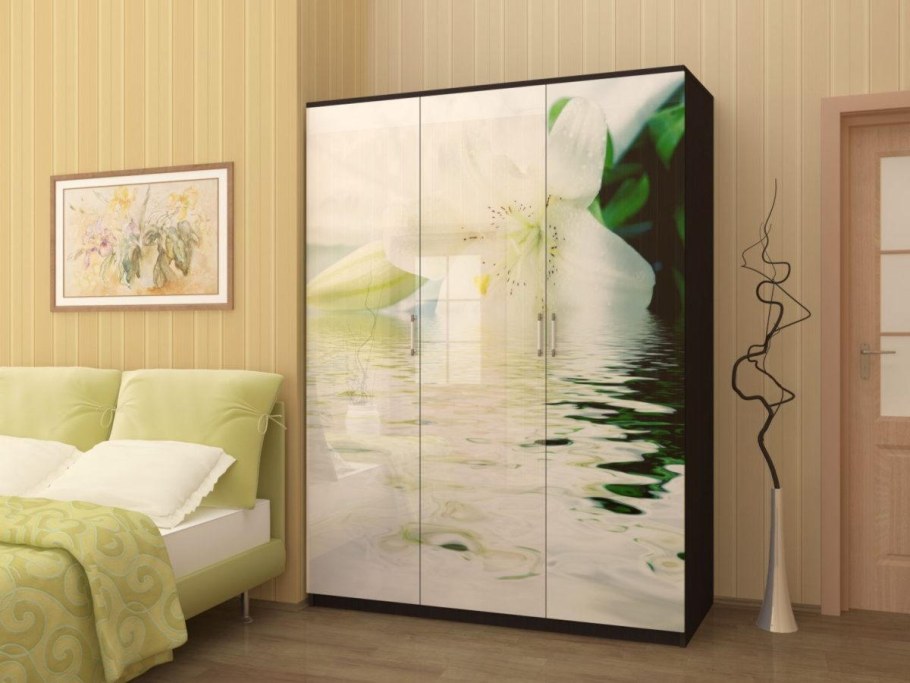 Шкаф купе с фотопечатью