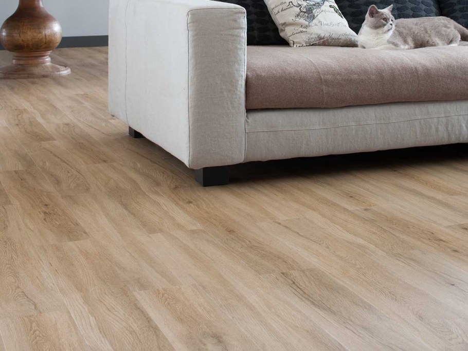 20468 Дуб Вагнер