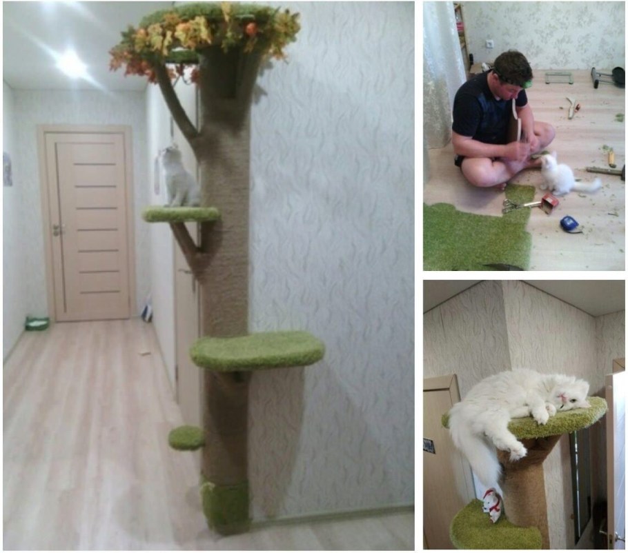 Декор стен от кошек