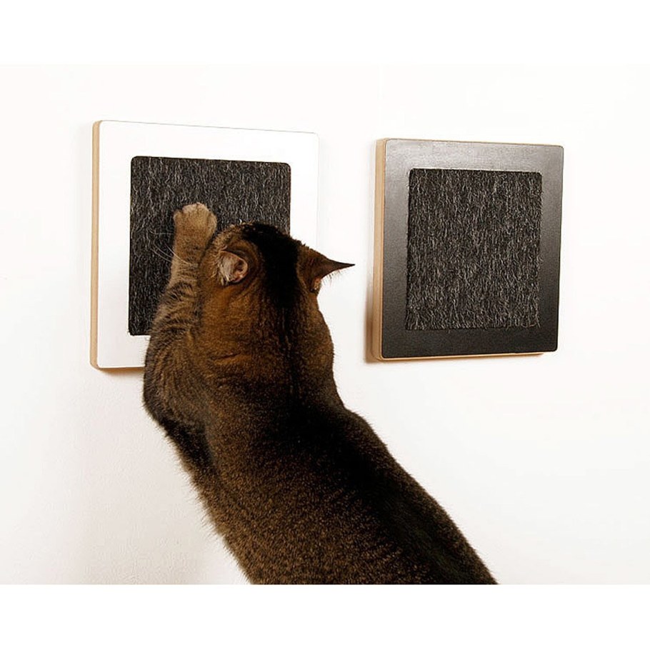 Защита от котов на стены