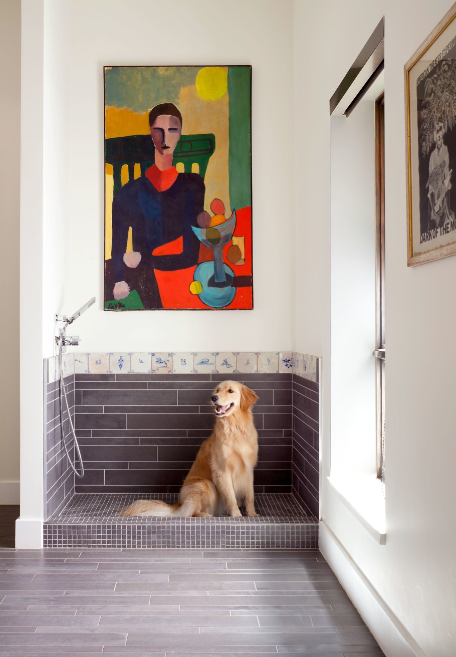 Мойка для собак в квартире