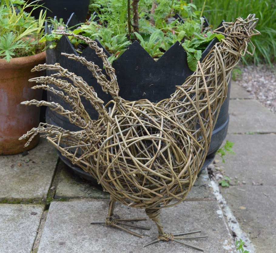 Кашпо из лозы винограда