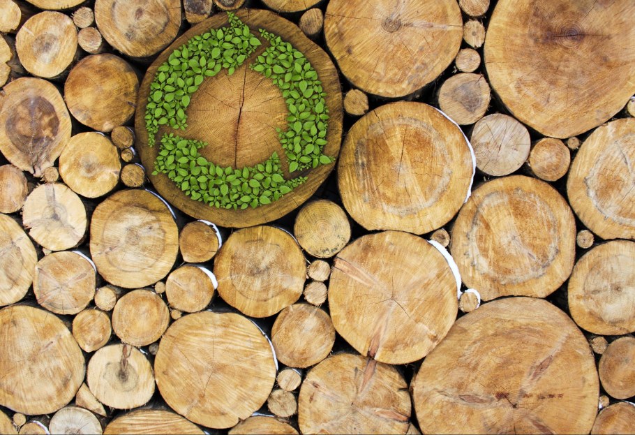 Дерево материал